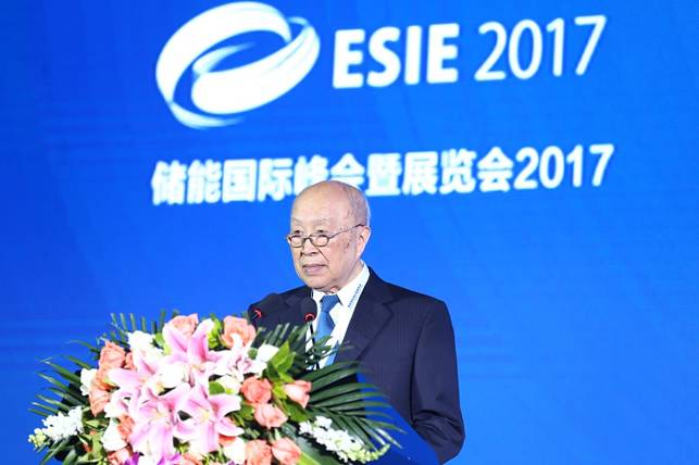 中國(guó)工程院院士楊裕生致辭