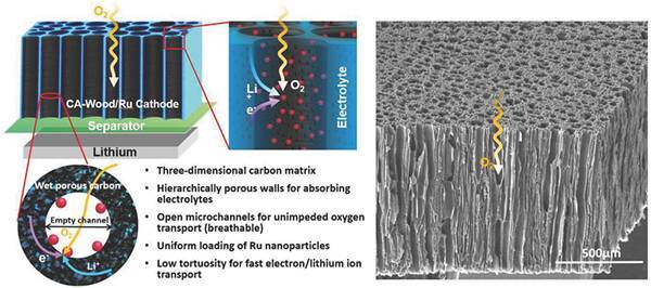 以碳化活性木頭/釕為正極的充電機充電鋰氧蓄電池示意圖