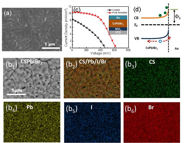 提升全無(wú)機(jī)鈣鈦礦充電機(jī)充電太陽(yáng)能蓄電池性能的超薄MoOx陰極緩沖層材料是個(gè)什么東東？